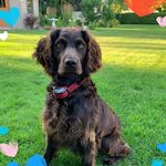 Dawn M. Wiseman - @dawn_wiseman - Instagram