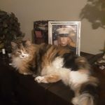 Dawn Marie Wiseman - @wisemanwolfangel - Instagram