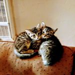 Dawn Marie Wiseman - @dawn.wiseman.777 - Instagram