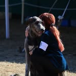 Dawn Wiseman - @temairiws - Instagram