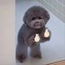 Dawn YU - Facebook