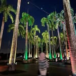 Reza - @_dawnyu - Instagram