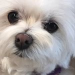 Dawna Brown Speicher - @lavenderblue24 - Instagram