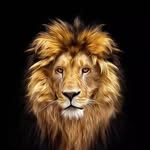 Dawood Sayed - @dawoodsayed282 - Instagram