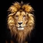 Dawood Sayed - @dawoodsayed282g - Instagram