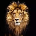 DAWOOD SAYED - @dawoodsayed27 - Instagram