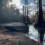 Dawson Bates - Facebook