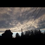 Dawson - @dawson_bates.oo5n - Instagram