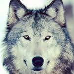 dawson bender - @d_bender_77_ - Instagram