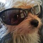 Dawson Bender - Facebook