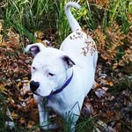 Dawson Benoit - @benoit.21 - Instagram