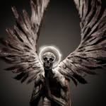 Dawson Berger - @dawson_berger - Instagram
