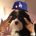 Dawson James Berry - @d_bearrrrrrr - Instagram