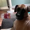 Dawson - @dawson.black_ - TikTok