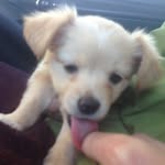 Dawson Boyle - @dawson_boyle - Instagram