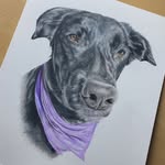 Dawson Brady - @dawsonbradyart - Instagram