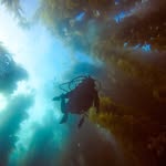 Dawson Brooks - @dawsonbrookss - Instagram