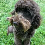 Dawson Buck - @cdb119 - Instagram