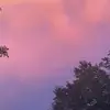 Dawson carter - @wizxardyt - TikTok