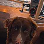 Dawson Castillo - Facebook