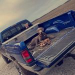 Dawson Chaney - @chaney.dawson - Instagram