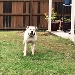 Dawson - @dawson_chase_farmer - Instagram