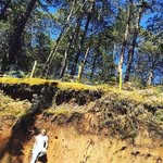 Dawson - @dawson_coatesvuv7 - Instagram