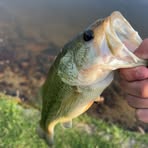 Dawson Collier - Facebook