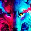 ddawgg - @dawsoncollins1231 - TikTok