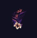 Dawson Combs - Facebook