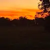 Dawson - @dawson_combs - TikTok