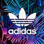 dawson cox - @dawsoncox1895 - Instagram