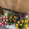 dawson.cox_ - @dawson.cox_ - TikTok