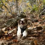Dawson Dean - @dawsondean19 - Instagram