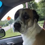 Decker Dawson Murray - @deckerdawsonmurray - Instagram