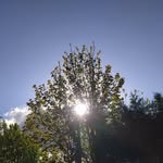 Photography.io - @deckers_dawson - Instagram