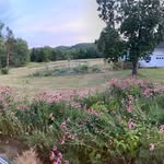 Dawson Downs in Guilford NY - @dawson_downs_guilford - Instagram