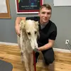 dawsondurham389 - @dawsondurham389 - TikTok