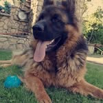 Dawson - @dawson_field__03bf4 - Instagram