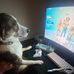 Dawson Fields - Facebook