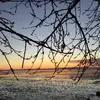 dawsonfleming12216 - @dawsonfleming122172 - TikTok