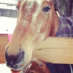 Dawson Freeman - @dawson.freeman.378 - Instagram