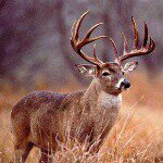 Dawson gardner - @dawson_gardnerdg2000 - Instagram