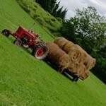 Dawson gordon - @dawsongordon9 - Instagram