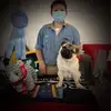 Dawson Graham645 - @dawsongraham645 - TikTok