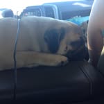 Dawson Graham - @dawsongraham5616 - Instagram