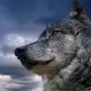 dawsongraham306 - @dawsongraham306 - TikTok