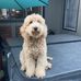 Dawson Green - Facebook