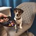 Dawson Green - Facebook