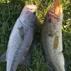 Dawson Green - @dawson.green60 - TikTok